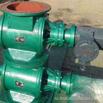 Rotary ash discharge valve